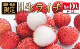 【ふるさと納税】◆希少！宮崎県産 生ライチ(合計約400g)