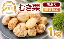 【ふるさと納税】【訳あり】低温熟成栗 1kg 国産むき栗 糖度2〜3倍上昇  西都市産【先行予約】＜2.1-9＞　