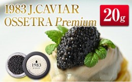 【ふるさと納税】◇1983 J.CAVIAR OSSETRA Premium (20g)