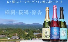 【ふるさと納税】五ヶ瀬 スパークリング ワイン 飲み比べ セット | お酒 ワイン さけ 酒 アルコール 飲料 飲み物 宮崎 五ヶ瀬