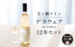 【ふるさと納税】五ヶ瀬ワイン デラウェア（白・やや甘口）12本セット | 飲料 酒 さけ お酒 おさけ アルコール ワイン 白ワイン 宮崎県 