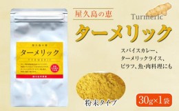 【ふるさと納税】屋久島の恵 ターメリック 30g×1袋（粉末タイプ）