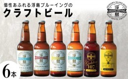 【ふるさと納税】個性あふれる浮島ブルーイングのクラフトビール6本セット｜クラフトビール ビール お酒 沖縄 那覇