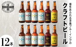 【ふるさと納税】個性あふれる浮島ブルーイングのクラフトビール12本セット｜クラフトビール ビール お酒 沖縄 那覇