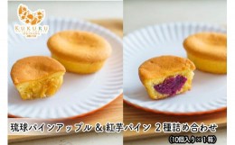 【ふるさと納税】琉球 パインアップル×紅芋パイン 2種詰合せ(10個入)