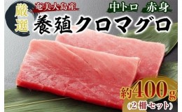 【ふるさと納税】奄美大島産養殖クロマグロ（2柵セット）【マグロ まぐろ 黒マグロ クロマグロ 養殖マグロ 冷凍マグロ マグロ刺身 マグロ