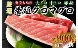 【ふるさと納税】奄美大島産養殖クロマグロ（4柵セット）【マグロ まぐろ 黒マグロ クロマグロ 養殖マグロ 冷凍マグロ マグロ刺身 マグロ