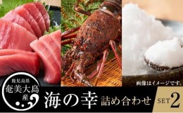 【ふるさと納税】【奄美大島 瀬戸内町】海の幸　詰め合わせセット２（伊勢海老・黒マグロ・加計呂麻の塩）