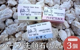 【ふるさと納税】石鹸 固形石鹸 スペシャル ハーブ洗顔石けん 4個セット