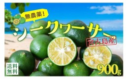 【ふるさと納税】沖縄・宮古島産｜シークワーサー（900g）生果実 青切り【2024年夏発送】