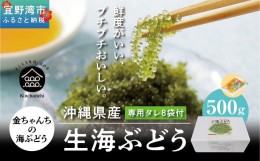 【ふるさと納税】【沖縄県産】生海ぶどう　500g