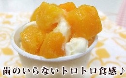 【ふるさと納税】フローズンマンゴー（500g×2袋） 南国 冷凍フルーツ 冷凍マンゴー フローズン フローズンマンゴー １kg カット カット