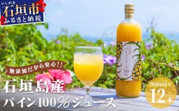 【ふるさと納税】石垣島産パイン100％ジュース12本セット E-13-1