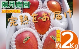 【ふるさと納税】2024年発送【陽月農園】　家庭用マンゴー 2Kg 先行予約