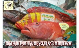 【ふるさと納税】南城市海野漁港の競り体験とお魚調理教室