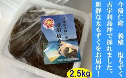 【ふるさと納税】今帰仁村　古宇利島産　養殖　塩もずく　業務用2.5？