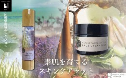 【ふるさと納税】【Nature Plants Skin Care】素肌を育てるスキンケアセット＜アロエ＞