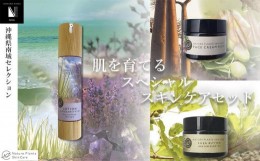 【ふるさと納税】【Nature Plants Skin Care】冬の乾燥に！肌を育てるスペシャルスキンケアセット