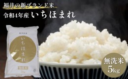 【ふるさと納税】無洗米　いちほまれ5kg（令和５年産）福井の新ブランド米