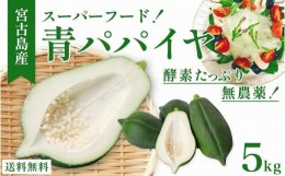 【ふるさと納税】沖縄・宮古島産｜南国の青パパイヤ（5kg）酵素の王様！フレッシュな美味しさ