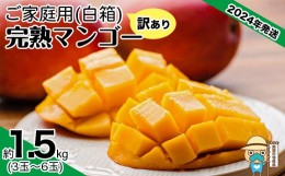 【ふるさと納税】【2024年発送】＜訳あり・ご家庭用＞完熟アップルマンゴー約1.5kg（白箱）3玉〜6玉