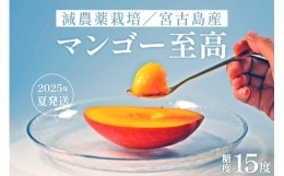 【ふるさと納税】《先行予約》沖縄・宮古島 減農薬栽培マンゴー 1kg【最良品】｜贈答用・糖度15度以上！｜琉球マルシェ