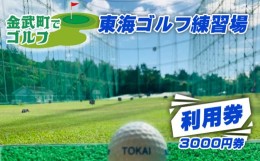 【ふるさと納税】金武町でゴルフ　東海ゴルフ練習場 利用券