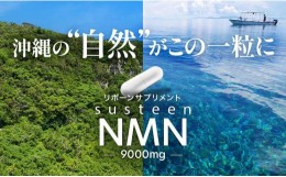 【ふるさと納税】沖縄から美容と健康が気になる方へ　susteen NMN（サスティーンエヌエムエヌ）9000mg