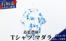 【ふるさと納税】【石垣島の藍染工房】Tシャツ【カラー:マダラ】【サイズ:Mサイズ】KB-156