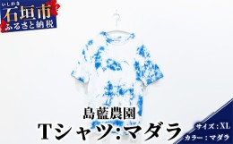 【ふるさと納税】【石垣島の藍染工房】Tシャツ【カラー:マダラ】【サイズ:XLサイズ】KB-158