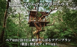 【ふるさと納税】ツリーハウス　2泊3日　ペア宿泊＆絶景やんばるツアープラン（朝食と焚き火ディナー付き） ５つ星 ホテル 宿泊 沖縄 森