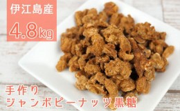 【ふるさと納税】伊江島産手作りジャンボピーナッツ黒糖4.8kg（180g×27袋）