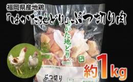 【ふるさと納税】福岡県産地鶏「はかた地どり」ぶつ切り肉(約1kg) お取り寄せグルメ　お取り寄せ 福岡 お土産 九州 ご当地グルメ 福岡土