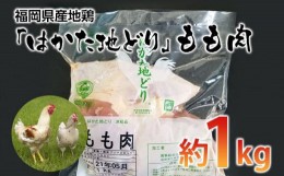 【ふるさと納税】福岡県産地鶏「はかた地どり」もも肉(約1kg) お取り寄せグルメ お取り寄せ 福岡 お土産 九州 ご当地グルメ 福岡土産 取