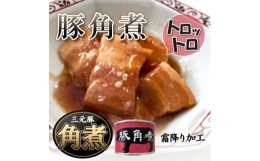 【ふるさと納税】豚角煮缶詰　20缶【1154263】