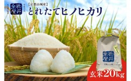 【ふるさと納税】＜京都山城産＞とれたてヒノヒカリ(玄米 20kg)送ります 玄米 米 ひのひかり ヒノヒカリ ふっくら つやつや 国産 安心 安