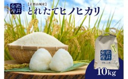 【ふるさと納税】＜京都山城産＞とれたてヒノヒカリ(10kg)送ります 【058-10】