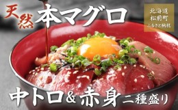 【ふるさと納税】天然本マグロ中トロ＆赤身二種盛り ふるさと納税 人気 おすすめ ランキング 天然 天然まぐろ 本鮪 本マグロ 本まぐろ 赤