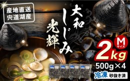 【ふるさと納税】島根県宍道湖産 冷凍大和しじみMサイズ2kg（500ｇ×4）セット（砂抜き処理済） 138-01【しじみ 島根県 松江市 冷凍しじ