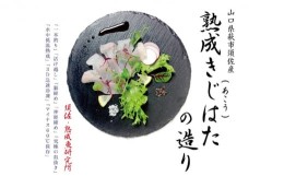 【ふるさと納税】[?5226-0803]熟成キジハタのお造り 50g 個食 4皿セット 萩魚 アコウ 神経締め 究極の血抜き 3D急速冷凍仕様 刺身 切り身