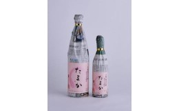 【ふるさと納税】渡邉酒造 　たまか　生?純米吟醸７２０ml１本