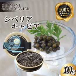 【ふるさと納税】キャビア「シベリア」10g