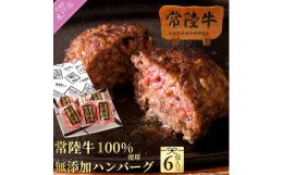 【ふるさと納税】DU-78　父の日 お中元 ハンバーグ 肉 100g 6個 セット ギフト 誕生日プレゼント 食べ物 冷凍 小分け 焼くだけでレストラ