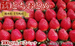 【ふるさと納税】栃木県産 こだわり とちおとめ【300g以上×2パック】| 家庭用 完熟 朝摘み 苺 いちご イチゴ とちおとめ 果物 フルーツ 