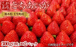 【ふるさと納税】栃木県産 こだわり とちあいか【300g以上×2パック】| 家庭用 完熟 朝摘み 苺 いちご イチゴ とちあいか 果物 フルーツ 