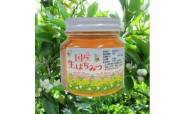 【ふるさと納税】中津・耶馬渓のはちみつ みかん 400g×1瓶 時田養蜂場 国産 蜂蜜 ハチミツ みかん 蜜柑 ミカン 大分県産 九州産 中津市 