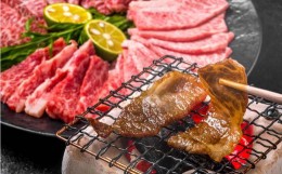 【ふるさと納税】博多和牛 焼肉用 500g 牛肉 バラ ロース モモ