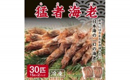 【ふるさと納税】1157 猛者海老15匹×2パックセット(山根商店)