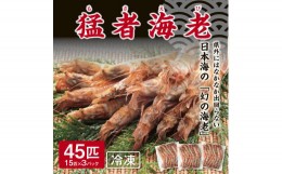 【ふるさと納税】1158 猛者海老15匹×3パックセット(山根商店)