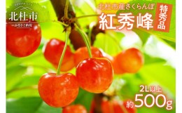 【ふるさと納税】【2024年先行予約】さくらんぼ500g（特秀品・2L 以上）